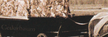 1904 – 1947: Die Anfänge